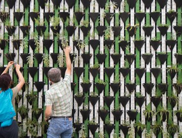Two people planting plants in baskets arranged in horizontal lines on a wall