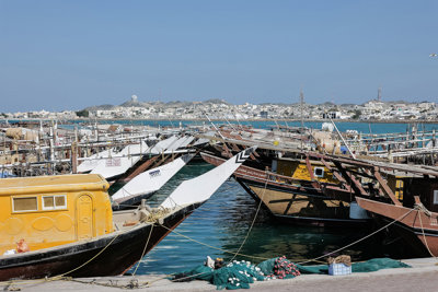 Boats in a habour with land covered in white building in the background