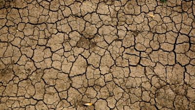 Dry soil covered by cracks and crevices