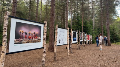 Earth Photo 2022 exhibition at Moors Valley.