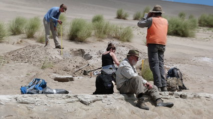 Four researchers taking measurements on a sand dune, surrounded by tools. One researcher is holding a measuring tape over a hole and another is standing and looking in the direction of the tape measure.  The other two researchers are sat on the ground. 