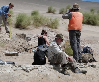 Four researchers taking measurements on a sand dune, surrounded by tools. One researcher is holding a measuring tape over a hole and another is standing and looking in the direction of the tape measure. The other two researchers are sat on the ground.