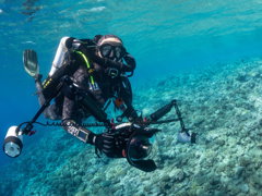 Enric Sala on a dive, he is filming underwater