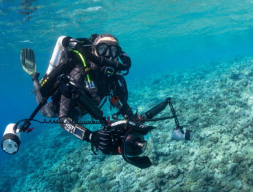 Enric Sala on a dive, he is filming underwater