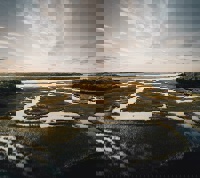 A salt marsh showing meanders