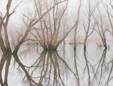 Wintery setting with reflections of trees in a lake.