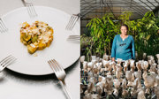 A plate with food and six forks on the left and a farmer in a greenhouse on the right.