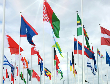 Flags of the world