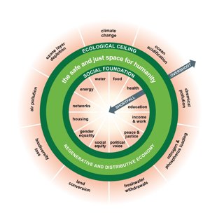 Figure 1 The Doughnut Model