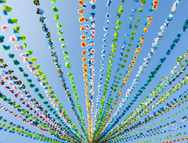 Strings of floral bunting amidst blue sky.