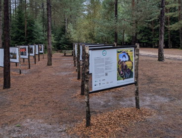 Earth Photo 2024 exhibition at Bedgebury. 
