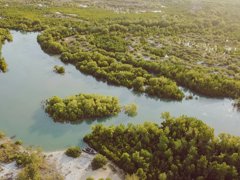Aerial view of green areas and meandering river