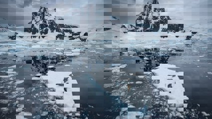 Three seals on a small iceberg in the middle of the sea with snow-covered mountain in the background.