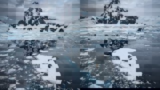 Three seals on a small iceberg in the middle of the sea with snow-covered mountain in the background.