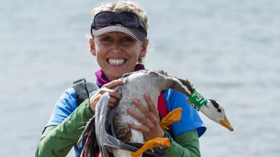 Lucy Hawkes holding tagged duck.