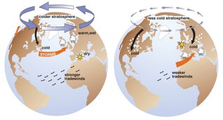 The positive and negative Arctic Oscillation