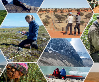 Decorative collage of fieldwork photos for the cover of the Explore 2024 programme.