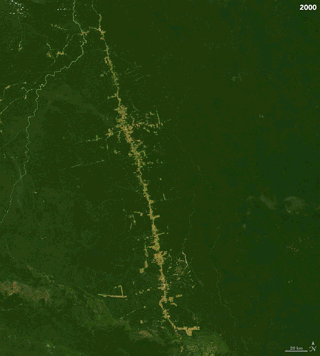 Deforestation June 4, 2000 - June 19, 2019. Copyright NASA