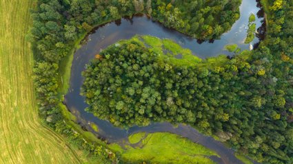 A river meander viewed from above surrounded by trees.