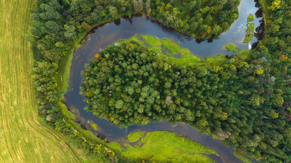 Improving the health and quality of rivers and water bodies | RGS