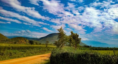An orange dirt, sandy road cuts through a field boardered  by bushes and trees. Grassy mountains protrude in the background.