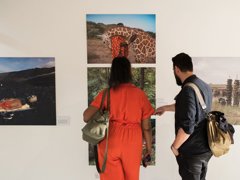 Two people looking at photographs on a wall.