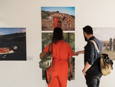 Two people looking at photographs on a wall.