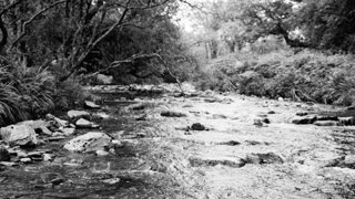 A river in black and white.