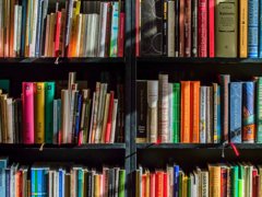 Books stacked on three vertical book shelves.
