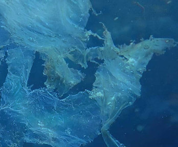 Plastic rubbish floating in the sea