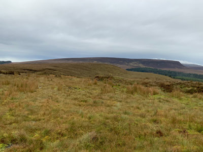 A landscape view over a blanket bog