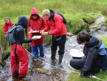 Group of young people standing in stream conducting fieldwork.