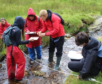 Group of young people standing in stream conducting fieldwork.