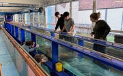 Wave tank at Coventry University