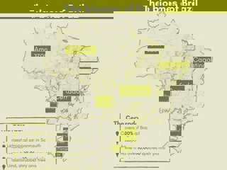 Infographic