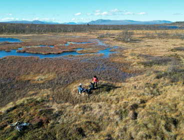 Aerial view of the team sampling at Maunuvuoma fen 
