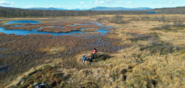 Aerial view of the team sampling at Maunuvuoma fen 