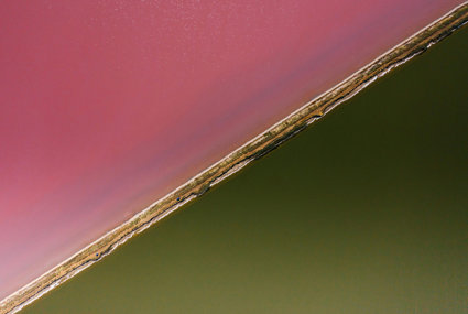 Pink lake split diagonally with green water