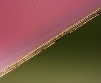 Pink lake split diagonally with green water