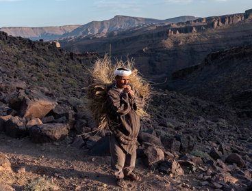 A person in a rocky landscape carrying a bundle of dried grass on their back.