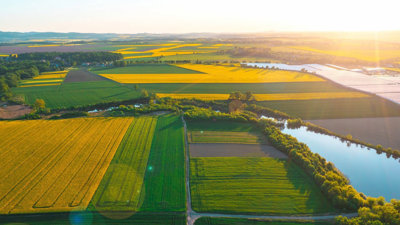 Aerial view of agricultural fields with sun rays in background.