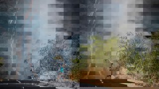 A person tries to extinguish a roadside wildfire with a tree branch as smoke billows across the landscape.