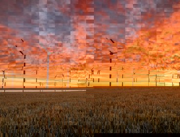 Wind turbines in an agricultural field at sunset.