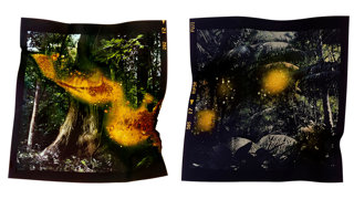 A picture of a large tree and a picture of tropical trees and plants with an effect on them that reminds of fire.