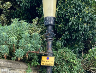 'You are still so beautiful' sign on lampost. 