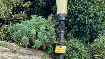 'You are still so beautiful' sign on lampost. 