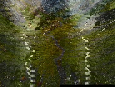 A river in a valley