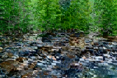 A stream