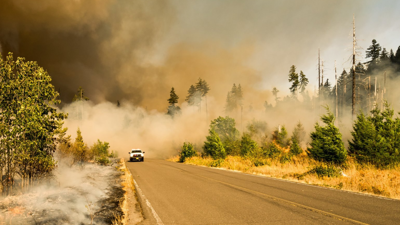 Car driving on a road through a wild fire