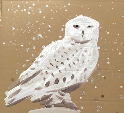 Drawing of a white and brown owl with snow falling in the background